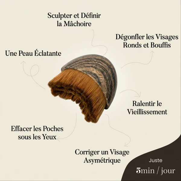 Brosse-sculptante & drainage lymphatique