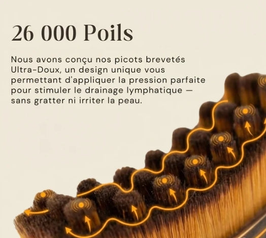 Brosse-sculptante & drainage lymphatique